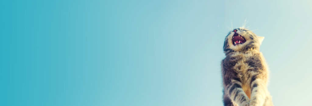 『きみを自由にする言葉』（喜多川泰）の深い魅力とその影響について