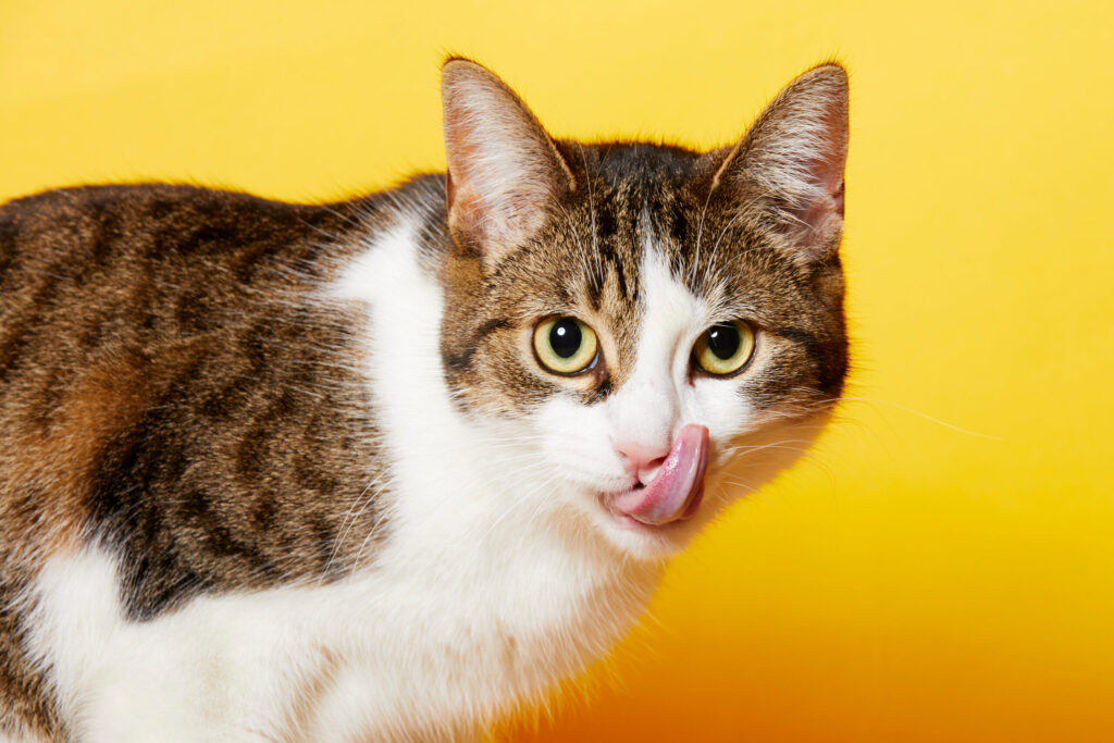 「眠れなくなるほど面白いたんぱく質の話」完全ガイド（藤田聡）