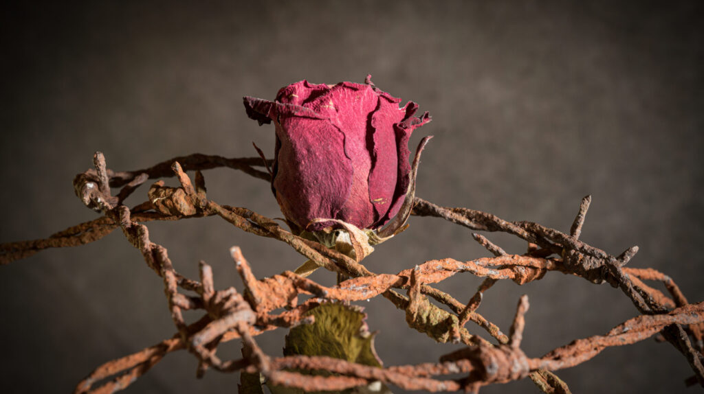 人生に迷ったあなたへ贈る、最高の処方箋―『夢をかなえるゾウ4 ガネーシャと死神』が教える、本当の幸せの見つけ方