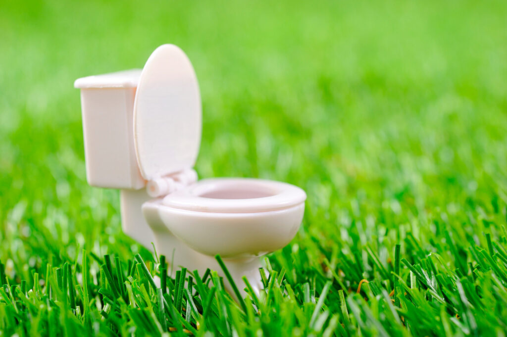 【40代・50代必読】人生に迷った時こそ読みたい！『夢をかなえるゾウ1』が教える、今からでも遅くない夢の叶え方