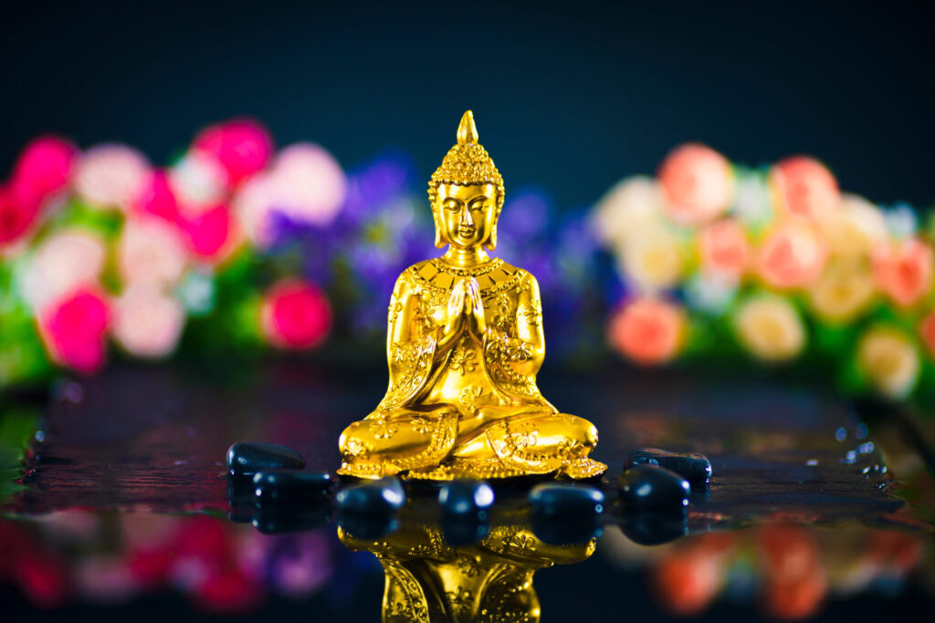 【人生逆転】40代・50代からでも遅くない！『夢をかなえるゾウ２』が中高年に贈る希望のメッセージ