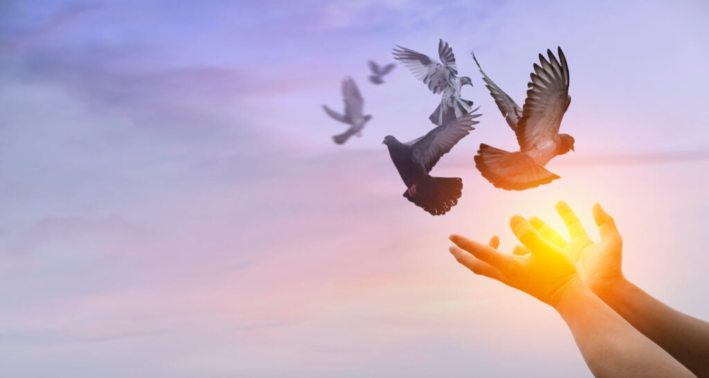 いじめられっ子が武道で自信を取り戻した実体験【克服ストーリー】