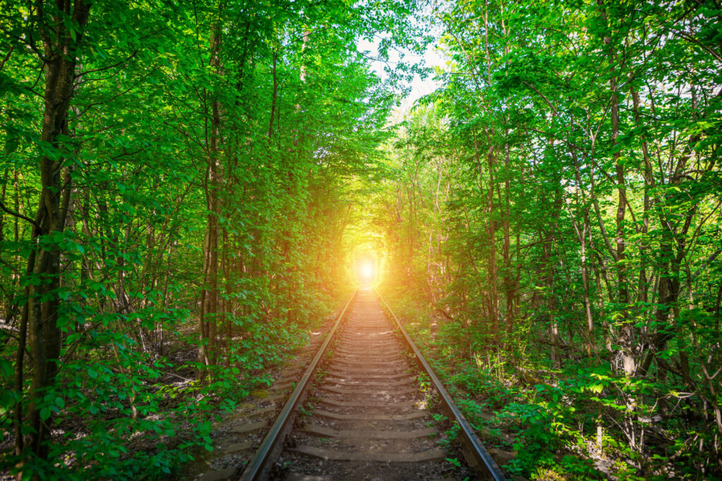 中高年の転職活動がもたらす影響