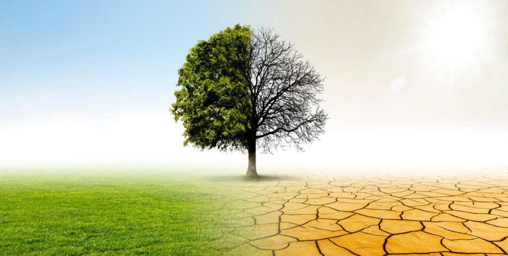 夢を諦めかけているあなたへ―『夢をかなえるゾウ0 ガネーシャと夢を食べるバク』が教える、人生再起動の魔法