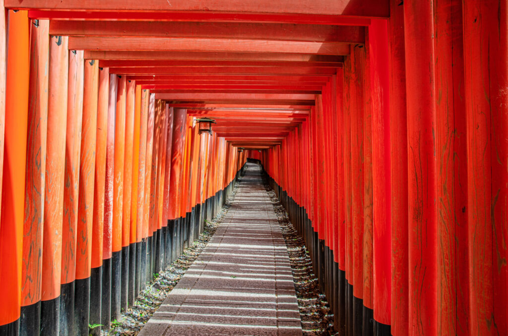 神社の秘密がこんなに面白いなんて！渋谷申博先生の図解神社の話