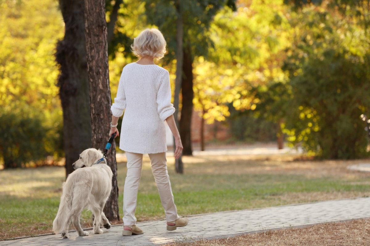 公園を犬と散歩するシニア女性。脱力のすすめの要約で扱う続けやすさの場面
