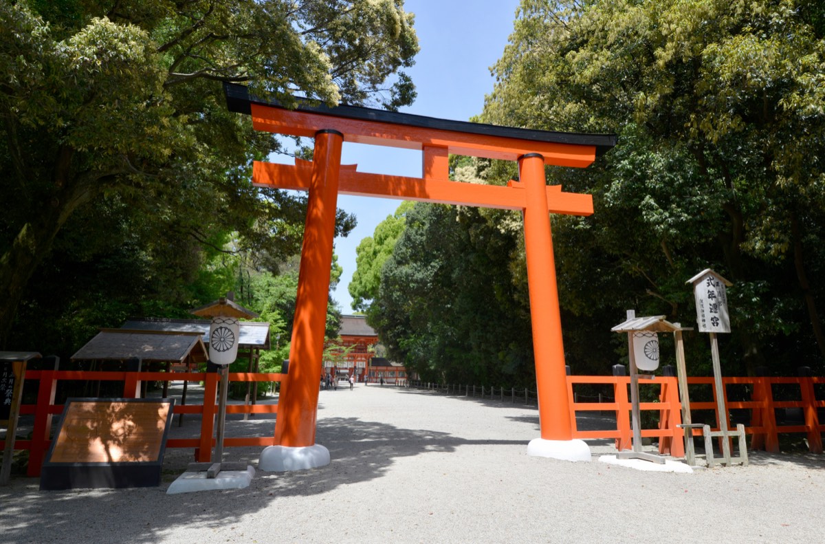 前祝いの法則の要約を転職活動で試した場所。日本の神社の鳥居