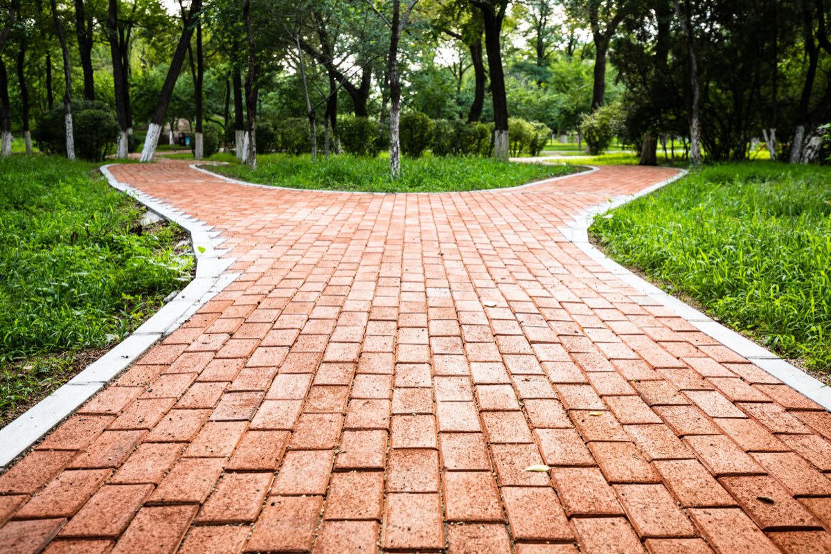 公園の中で二手に分かれる道。50代の燃え尽き症候群を人生の交差点として見るイメージ