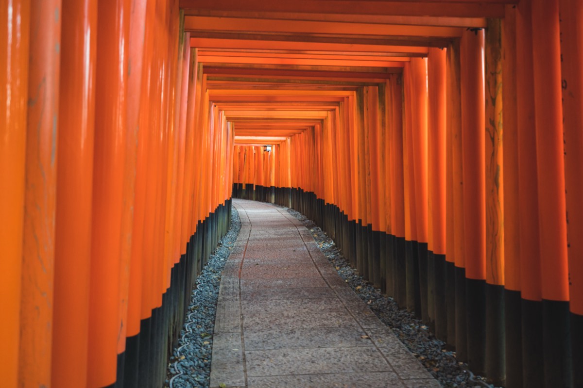 朝の光が差す鳥居の参道。何が問題なんですかの要約の第6章の神さまを味方につける話を表す場面