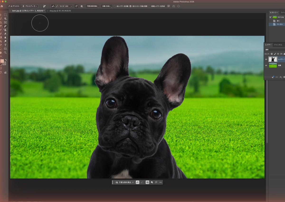 Photoshopの合成で芝生の写真に犬を貼り付けた直後。犬が大きすぎる