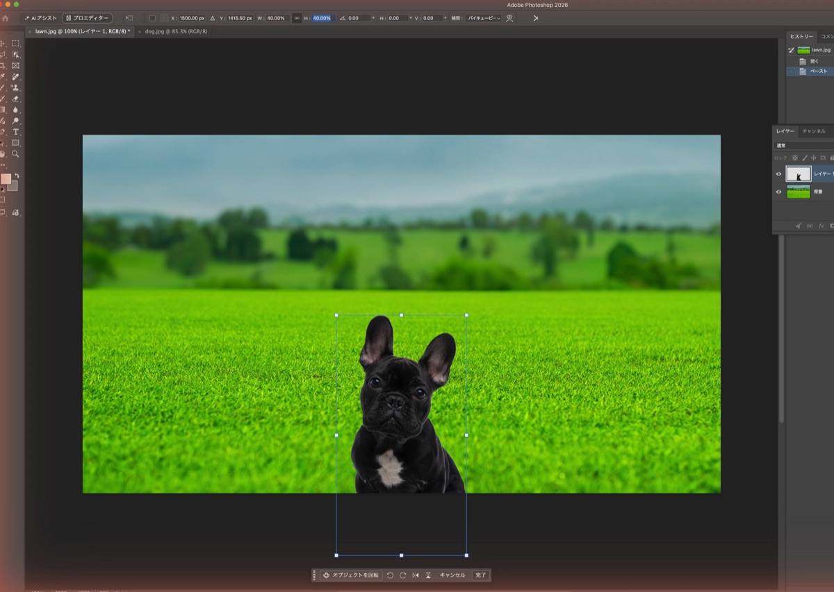Photoshopの合成で犬を40パーセントに縮めて芝生の上に置いたところ