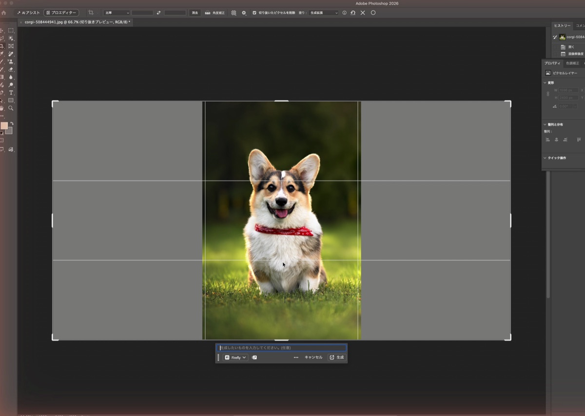 Photoshopの生成拡張で左右に広げた枠。外側が灰色になっている