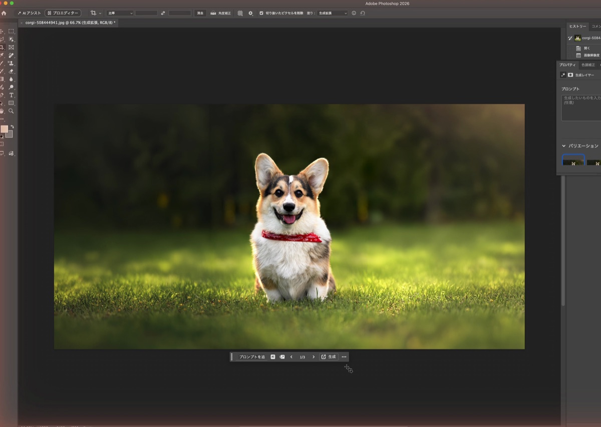 Photoshopの生成拡張で横長に広がったコーギーの写真